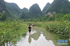 澳门金沙官网强降雨致广西36万人受灾